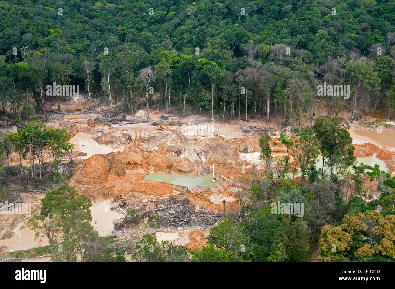 La destrucción de la selva tropical causada por la minería del oro, Guyana, Sudamérica Foto de stock