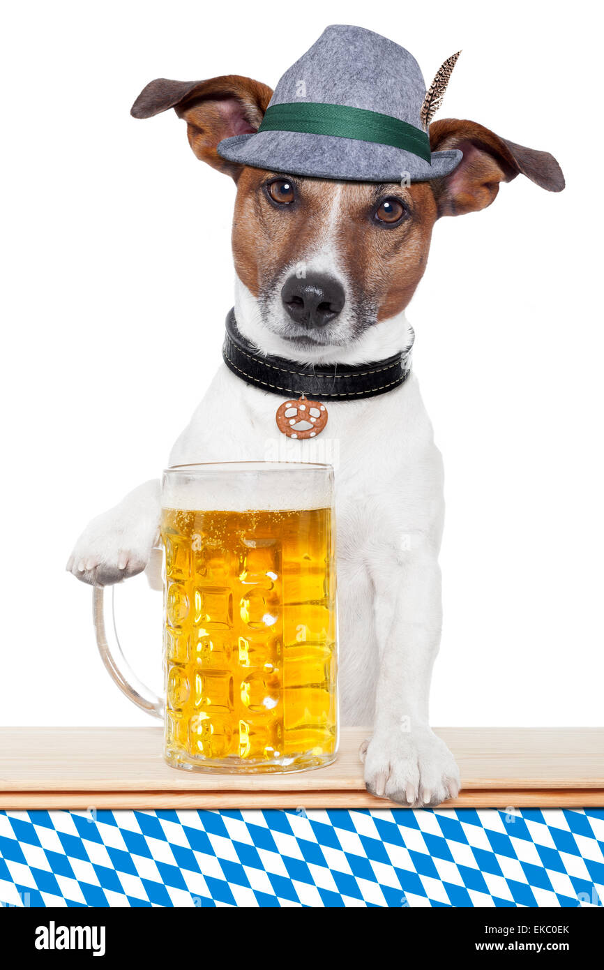 Perro con cerveza fotografías e imágenes de alta resolución - Alamy