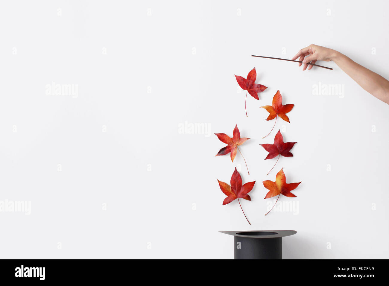 Mano de mujer sosteniendo una varita mágica tirando hojas de otoño fuera de un sombrero Foto de stock