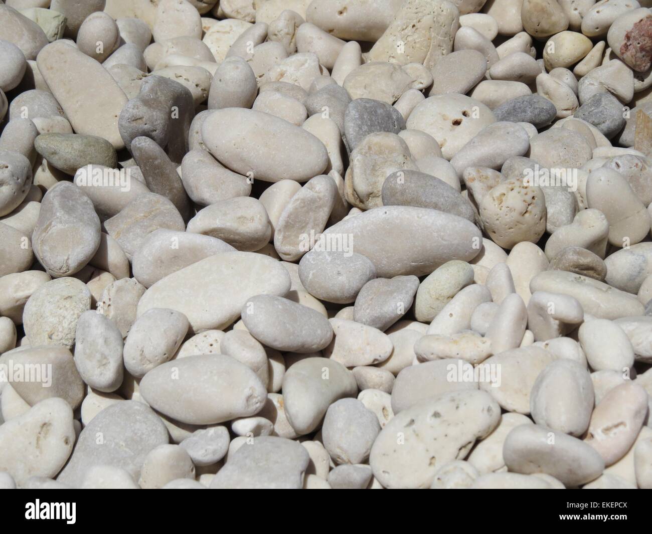Las piedras blancas en la playa Foto de stock