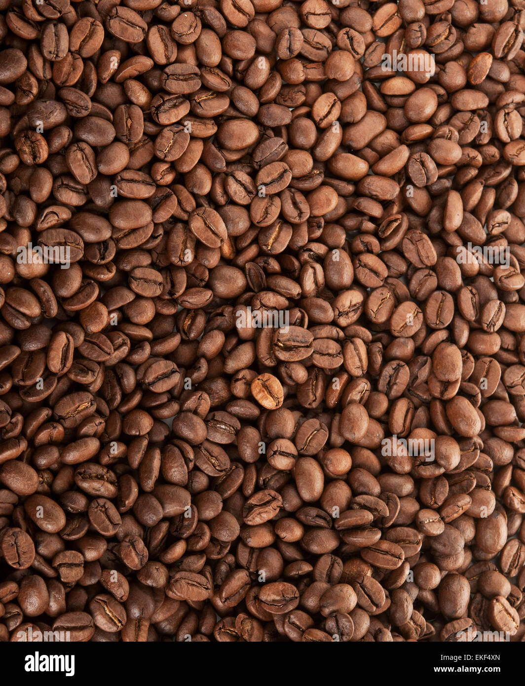 granos de café Foto de stock