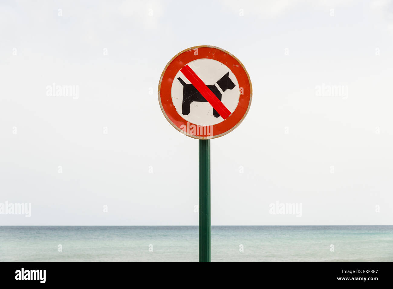 No perros en la playa Costa Blanca Moriara firmar en España Foto de stock
