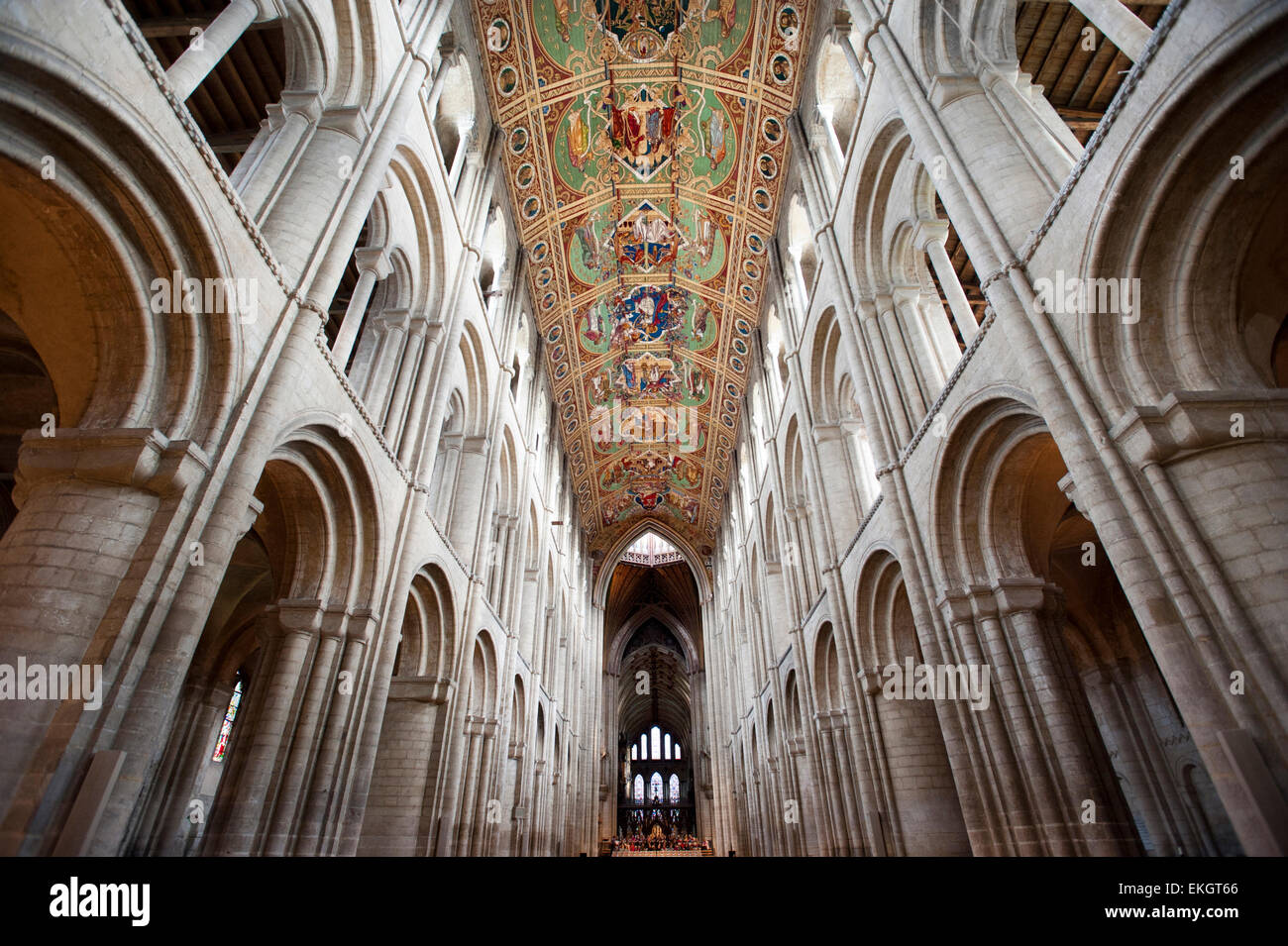 La nave central de la catedral de Ely, Cambridgeshire, construido por los normandos en 1090. La nave es 2248ft. (76 metros) de largo. Foto de stock
