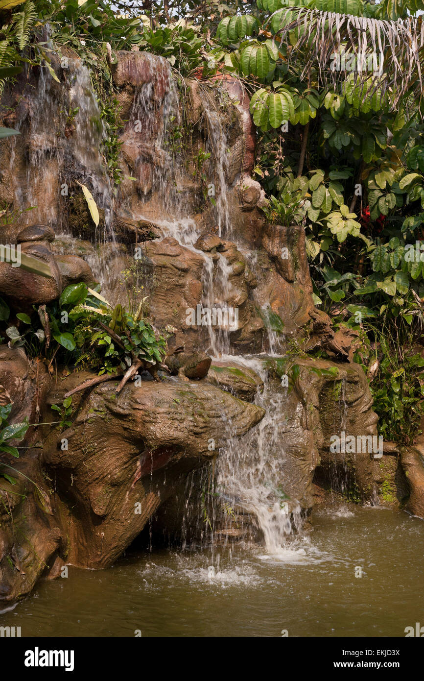 Jardín tropical y cascada de agua, cascadas de agua Foto de stock