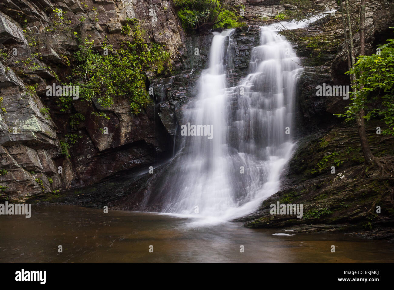Cascadas de carolina del norte fotografías e imágenes de alta