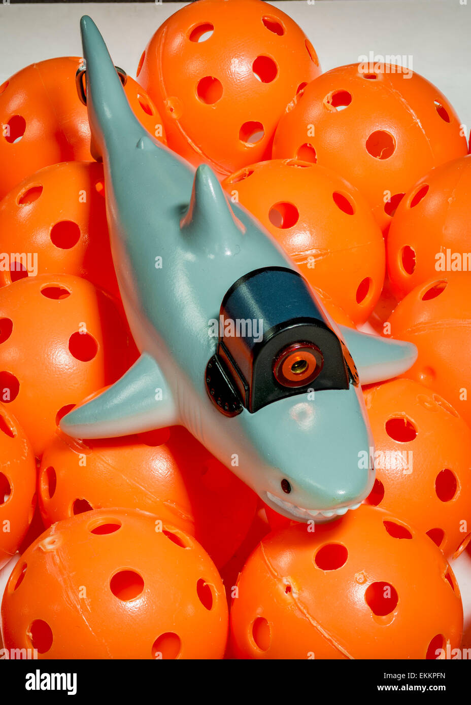 Tiburón de juguete de plástico fotografías e imágenes de alta resolución -  Alamy