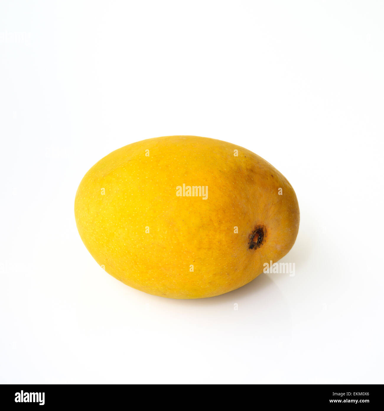 Amarillo mango Alphonso Foto de stock