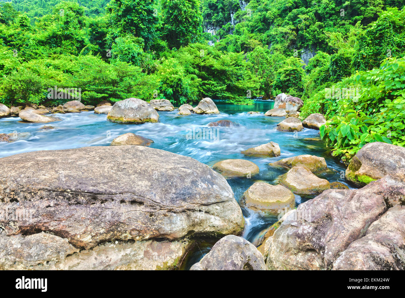 Arroyo de agua azul. Parque Nacional de Phong Nha-Ke Bang. Vietnam Foto de stock
