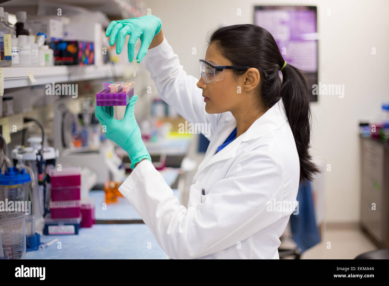 Closeup retrato, Young Scientist en labcoat haciendo experimentos en laboratorio, sector académico. Foto de stock