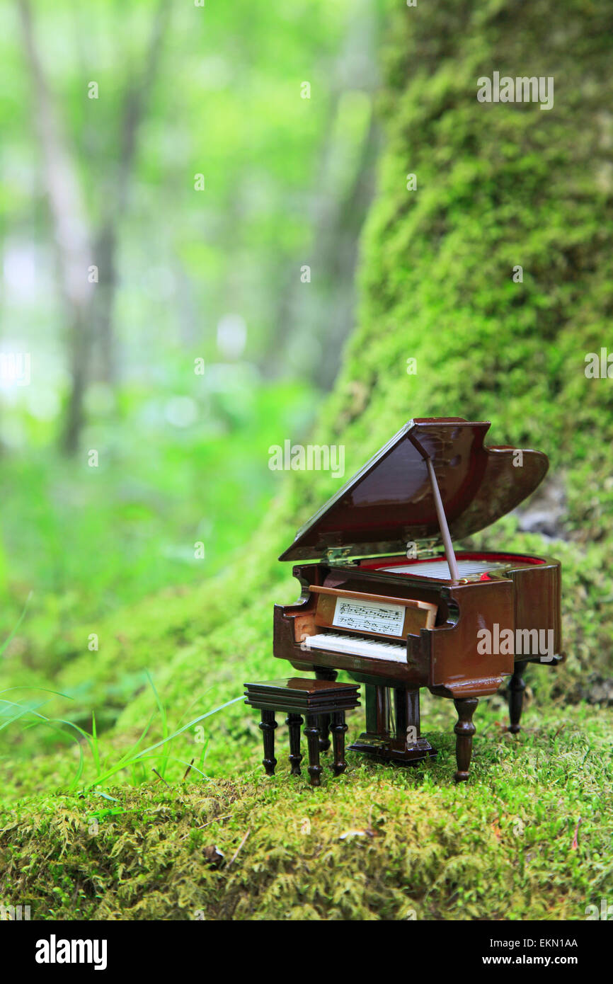 Piano en el bosque fotografías e imágenes de alta resolución - Alamy