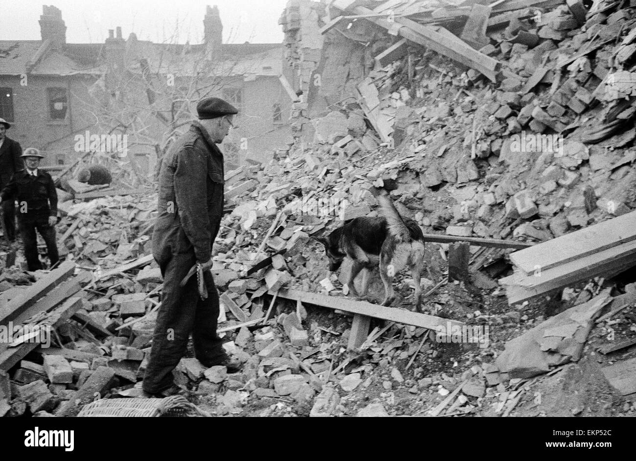 Cohete V2 incidente de Farrant Avenue, Señorío, Wood Green Lane. Los perros ayudando a búsqueda de supervivientes. 3 de marzo de 1945. Foto de stock