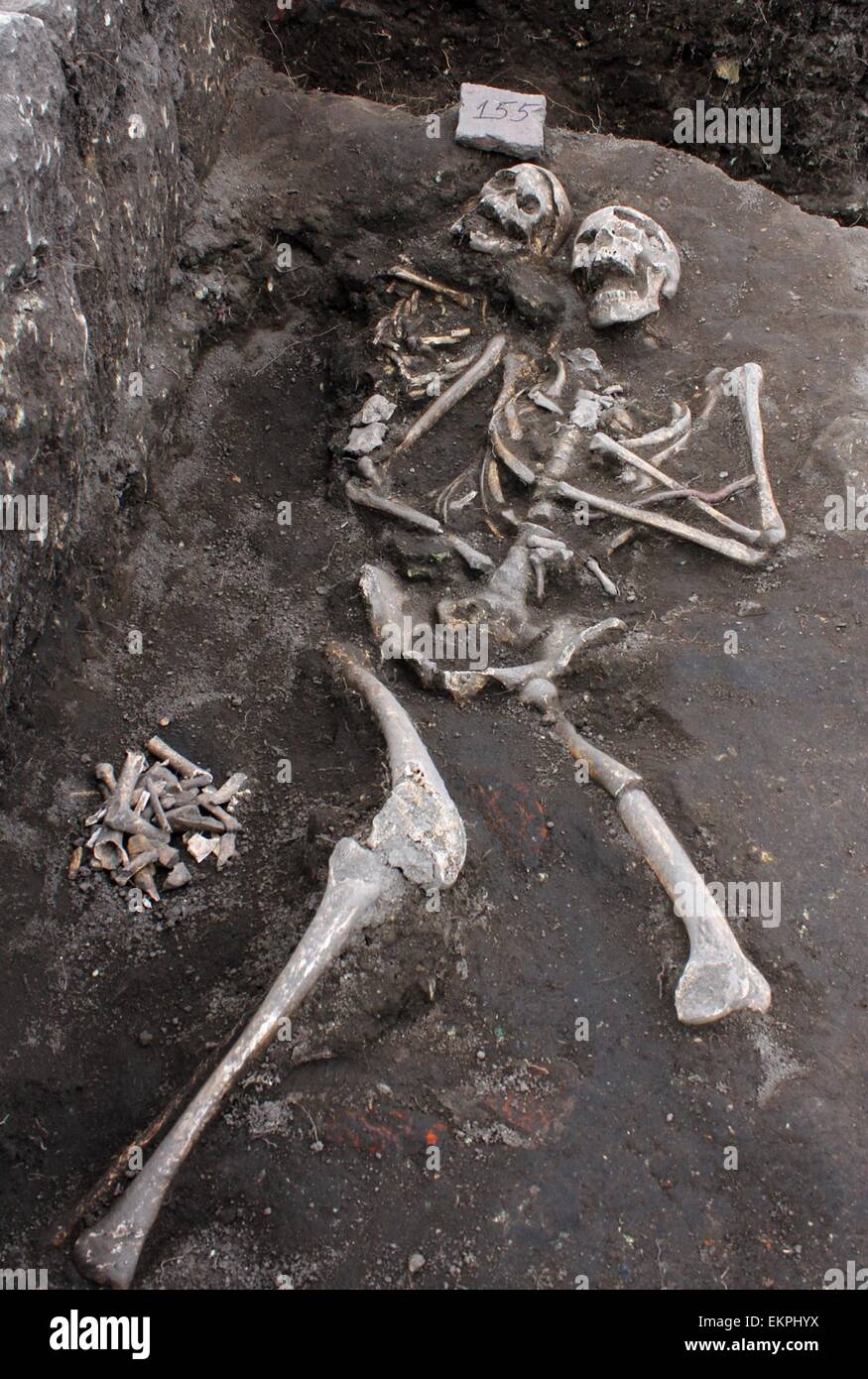 Archaelogists inspecciona una tumba con un esqueleto con una barra de hierro  penetró en el corazón de área corporal, se remonta a la Edad Media en el  antiguo templo de Tracia Perperikon