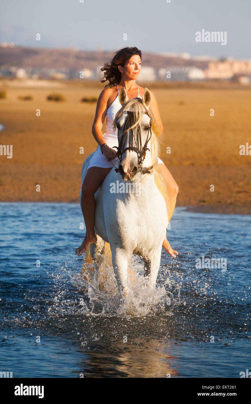 Una mujer montando un caballo blanco en el agua; Tarifa Cádiz Costa de la Luz Andalucía España Foto de stock