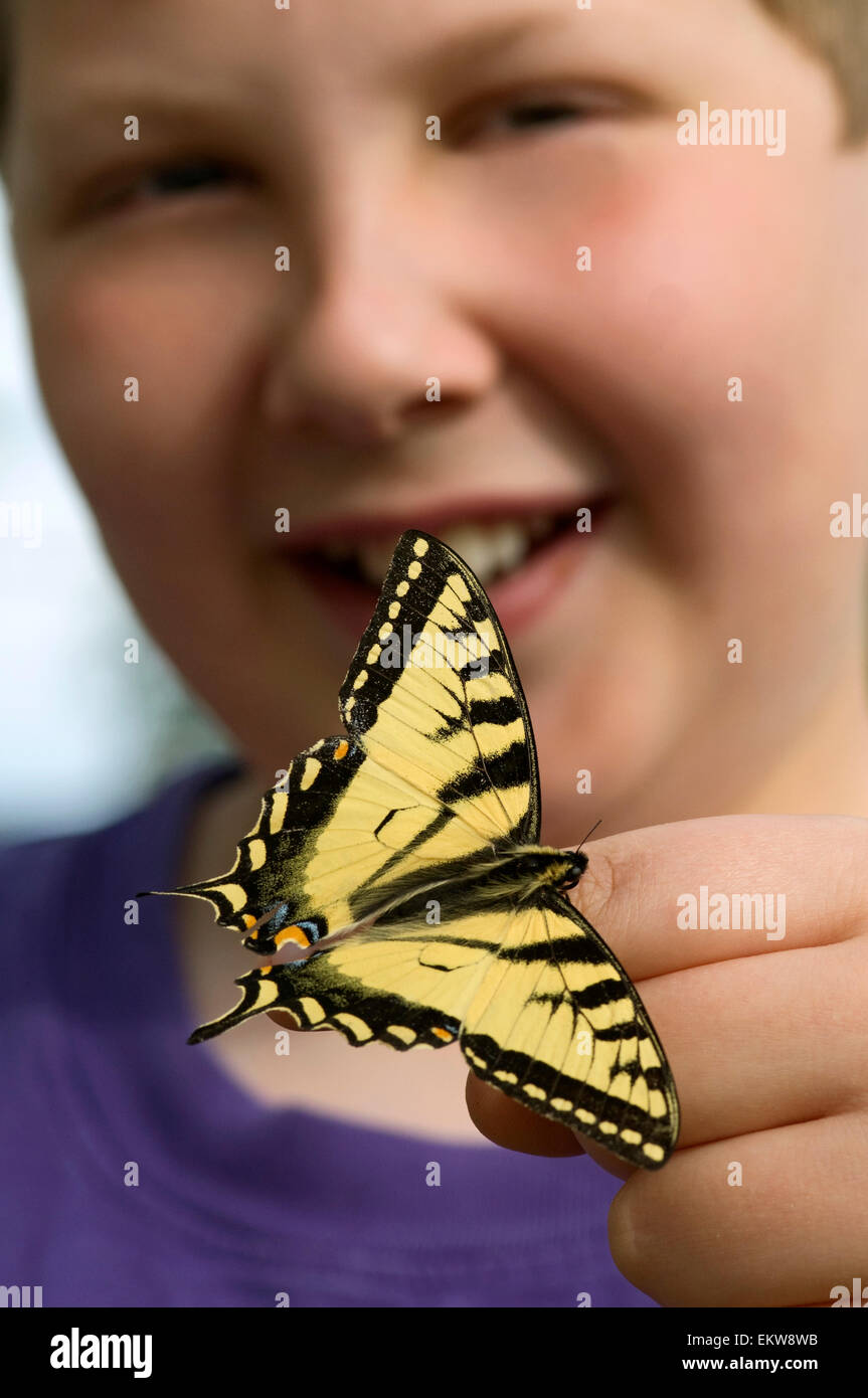 Mano Mariposa Empate Con La Flor Fotos, retratos, imágenes y fotografía de  archivo libres de derecho. Image 60235966