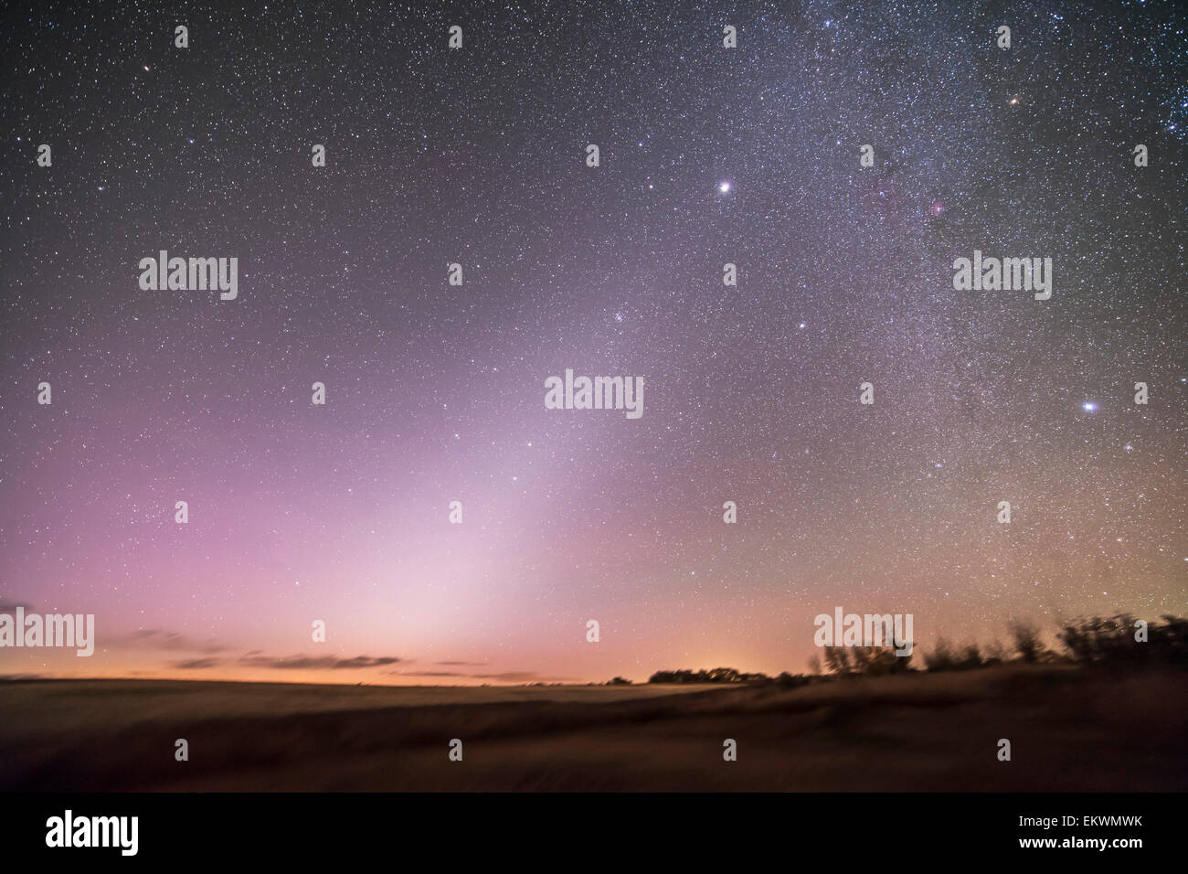 Octubre 7, 2013 - La luz zodiacal en el cielo antes del amanecer en Alberta, Canadá. Leo está justo subiendo de centro izquierda, con Marte arriba Foto de stock