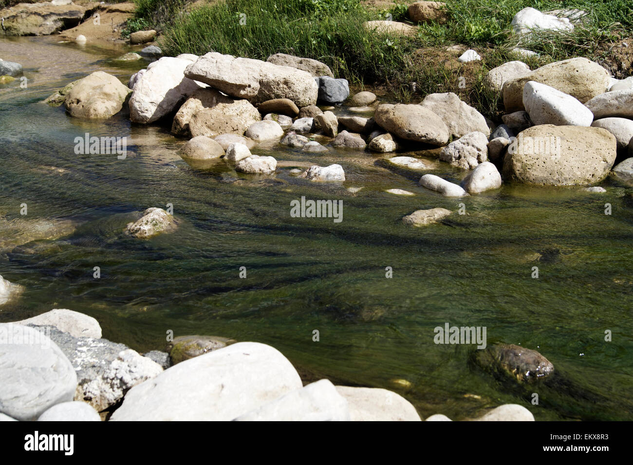 Agua Verde en un riachuelo con rocas en un día de primavera Foto de stock