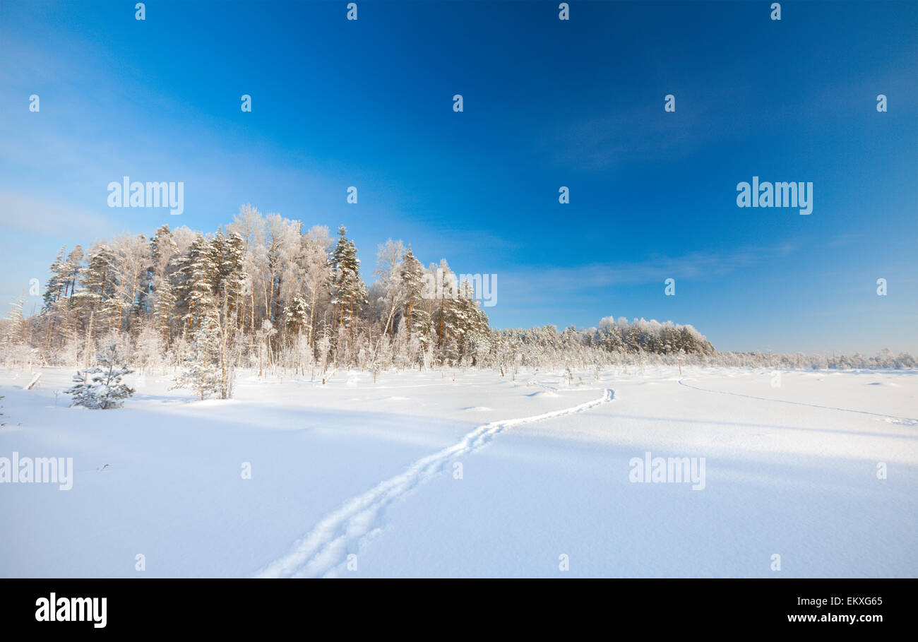 Winter Park en la nieve Foto de stock