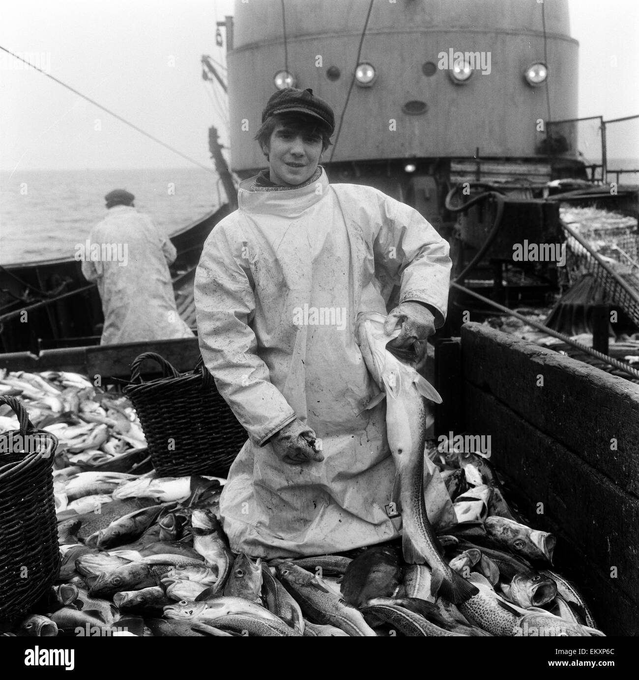 Buque palangrero pescadores en el trabajo el 15 de junio de 1967. Foto de stock