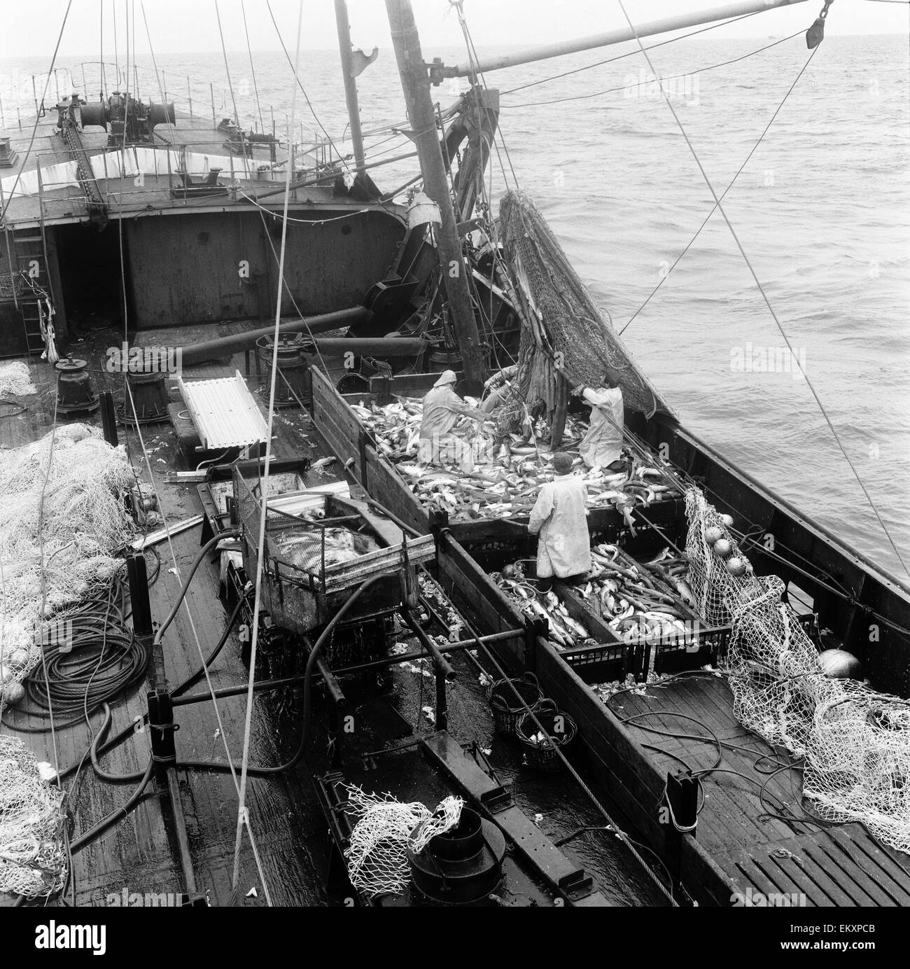 Buque palangrero pescadores en el trabajo el 15 de junio de 1967. Foto de stock