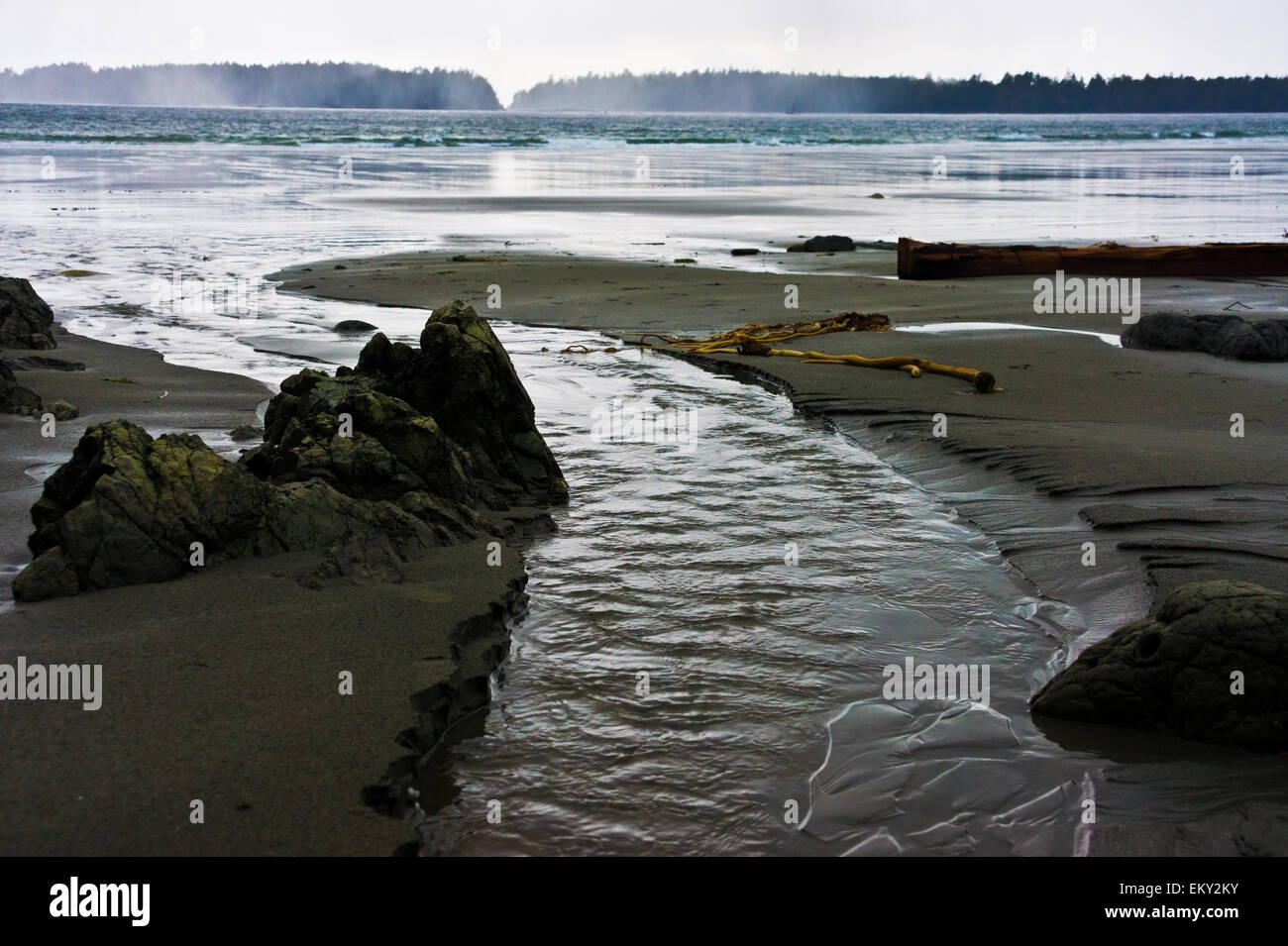 Tofino costa de la isla de Vancouver y el bosque lluvioso, B.C., Canadá Foto de stock