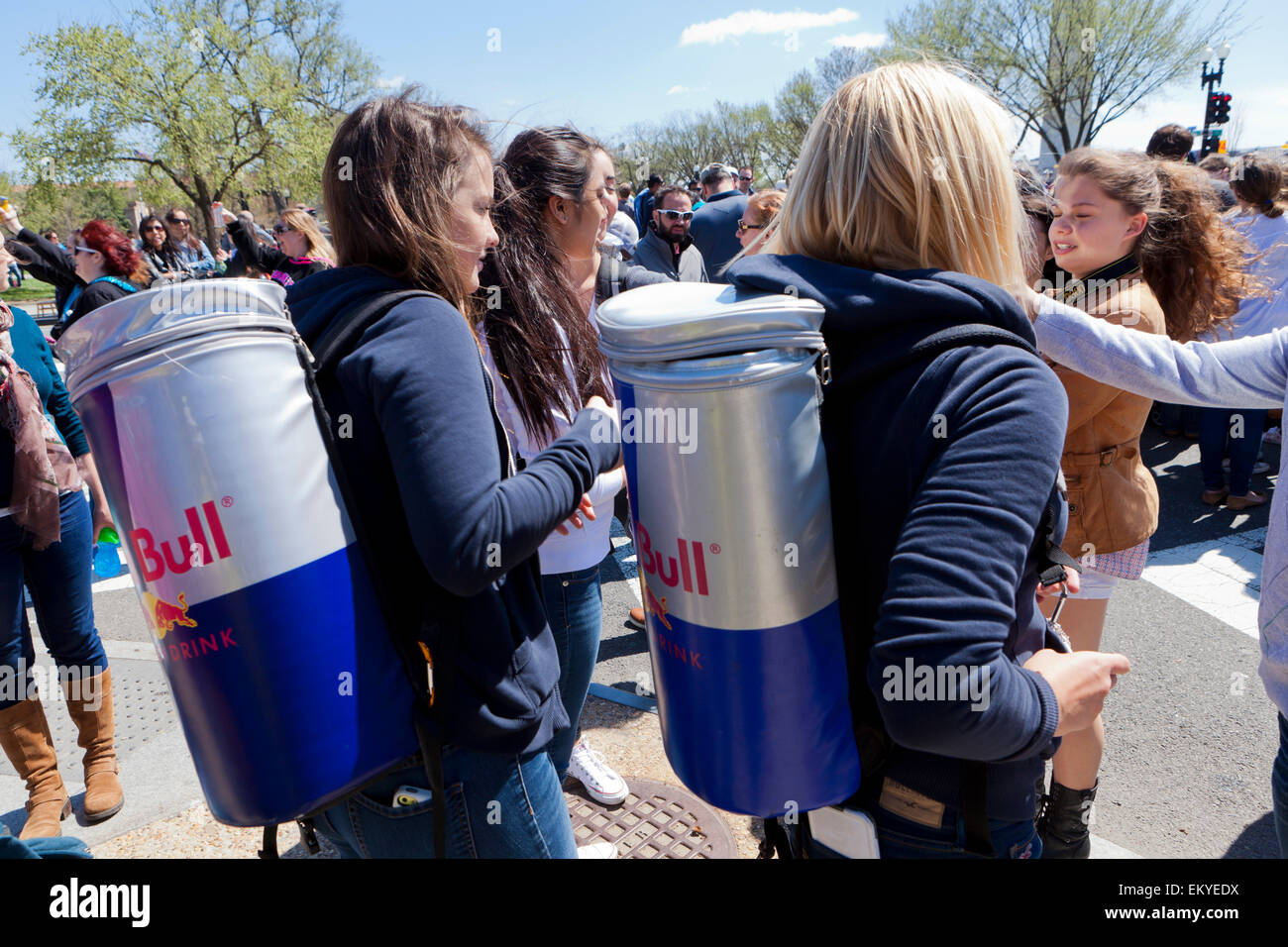 Red Bull promoción niñas en festival al aire libre - EE.UU. Foto de stock