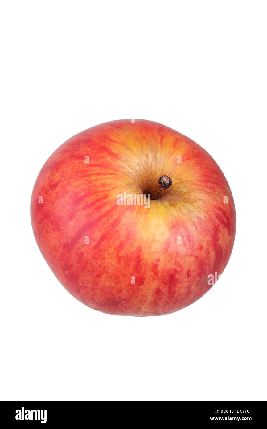 Apple variedad Malvasia Foto de stock