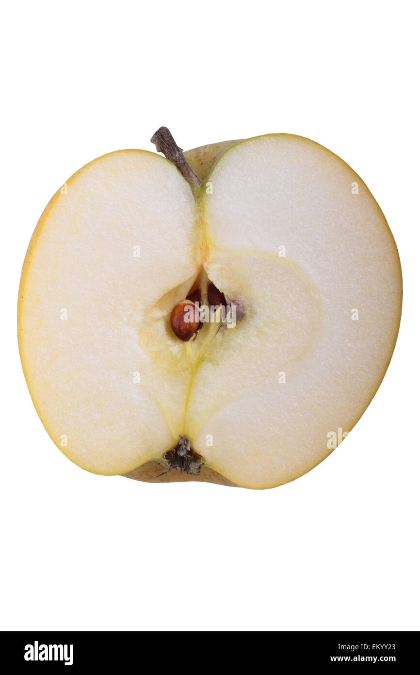 Apple variedad Ananas Reinette, corte Foto de stock