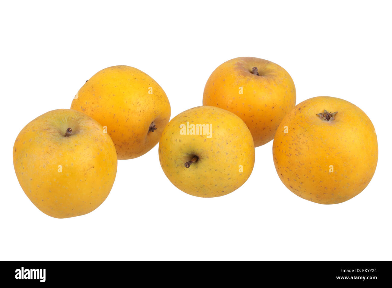 Apple variedad Ananas Reinette Foto de stock