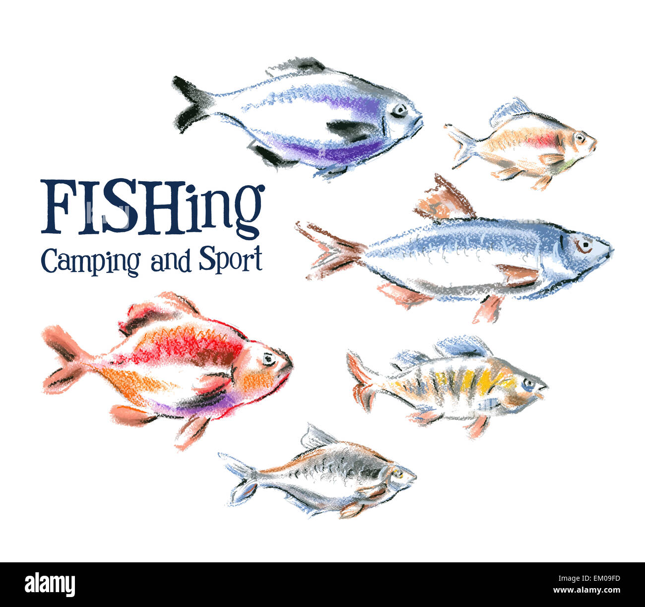 Pescado fresco del vector logo design template. mariscos, comida o icono de pesca. Foto de stock