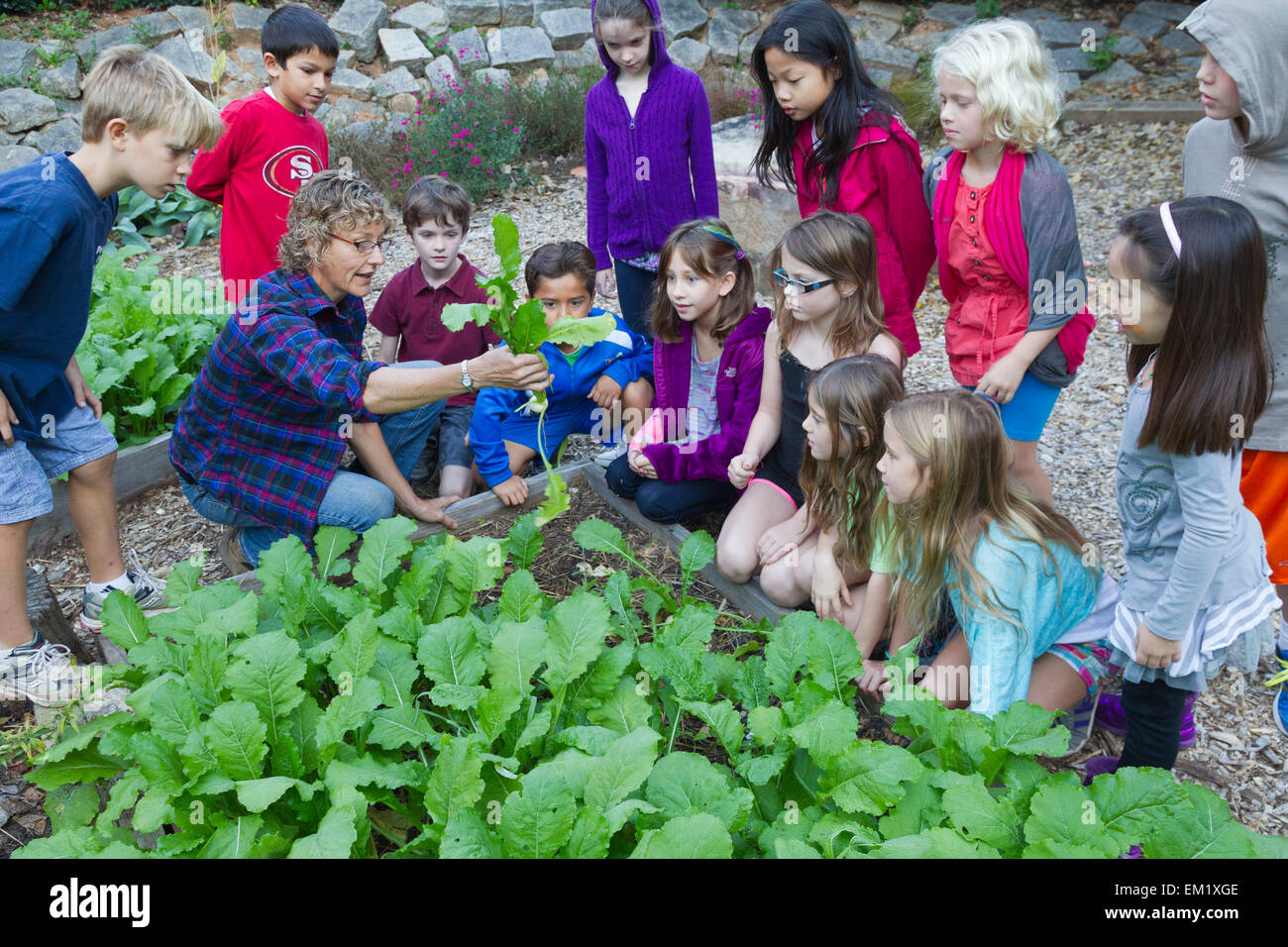 Programa de agricultura urbana en la escuela paideia, Atlanta, Georgia Foto de stock