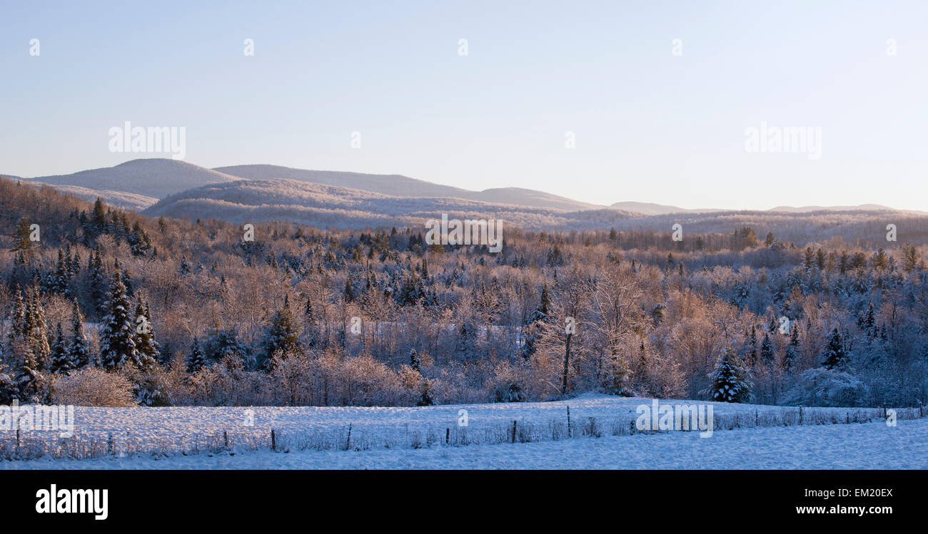 Campo y árboles cubiertos de nieve con las montañas en el fondo; West