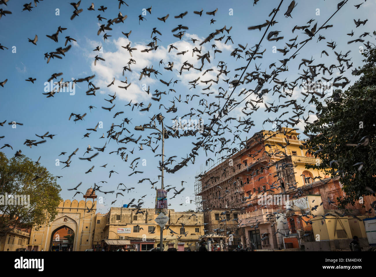 La Plaza de la ciudad de Jaipur, Rajasthan donde la gente viene a hacer ofrendas a las palomas locales para la buena suerte. Foto de stock