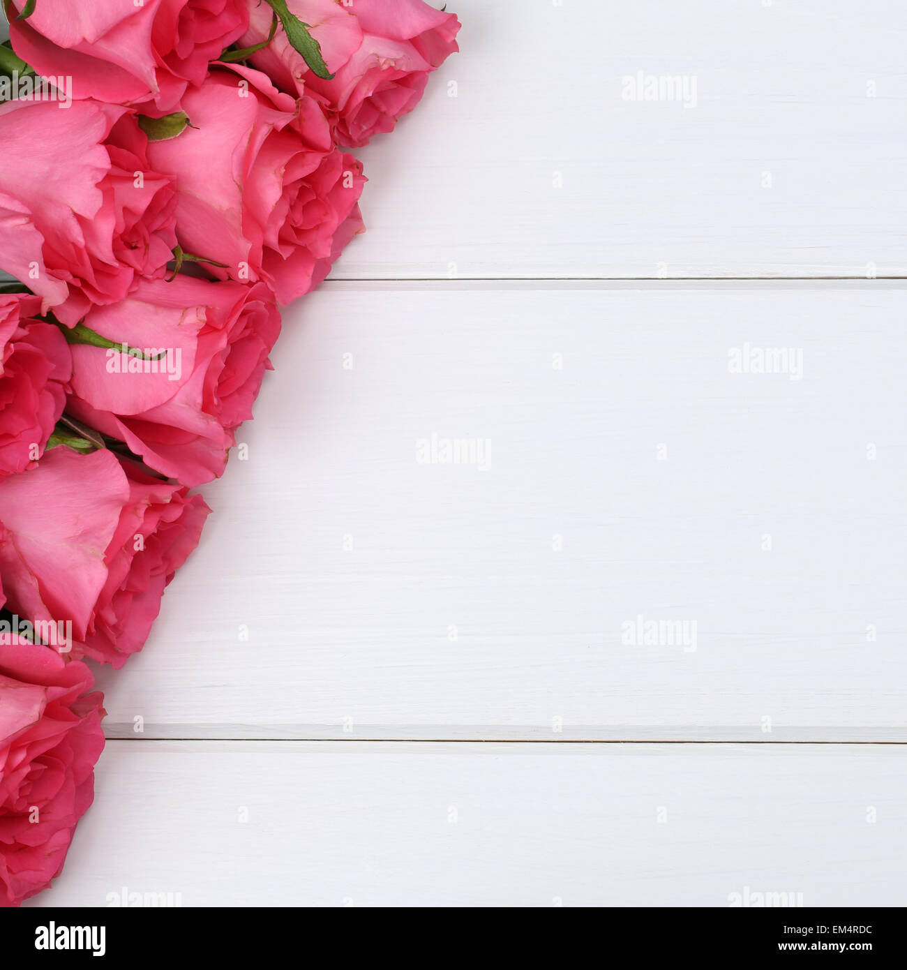 Desear flores fotografías e imágenes de alta resolución - Página 5 - Alamy