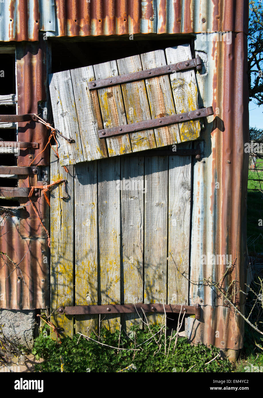 Cerca de la puerta del granero ruinosas Clun, Shropshire, Inglaterra. Foto de stock