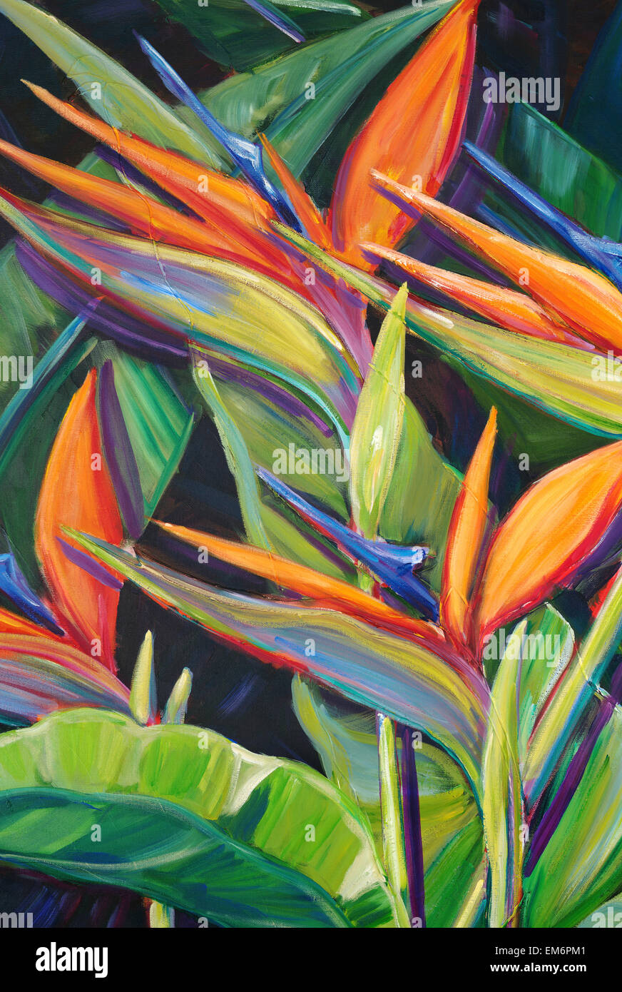 El baile de las aves, Ave del Paraíso Flores (pintura acrílica Fotografía  de stock - Alamy