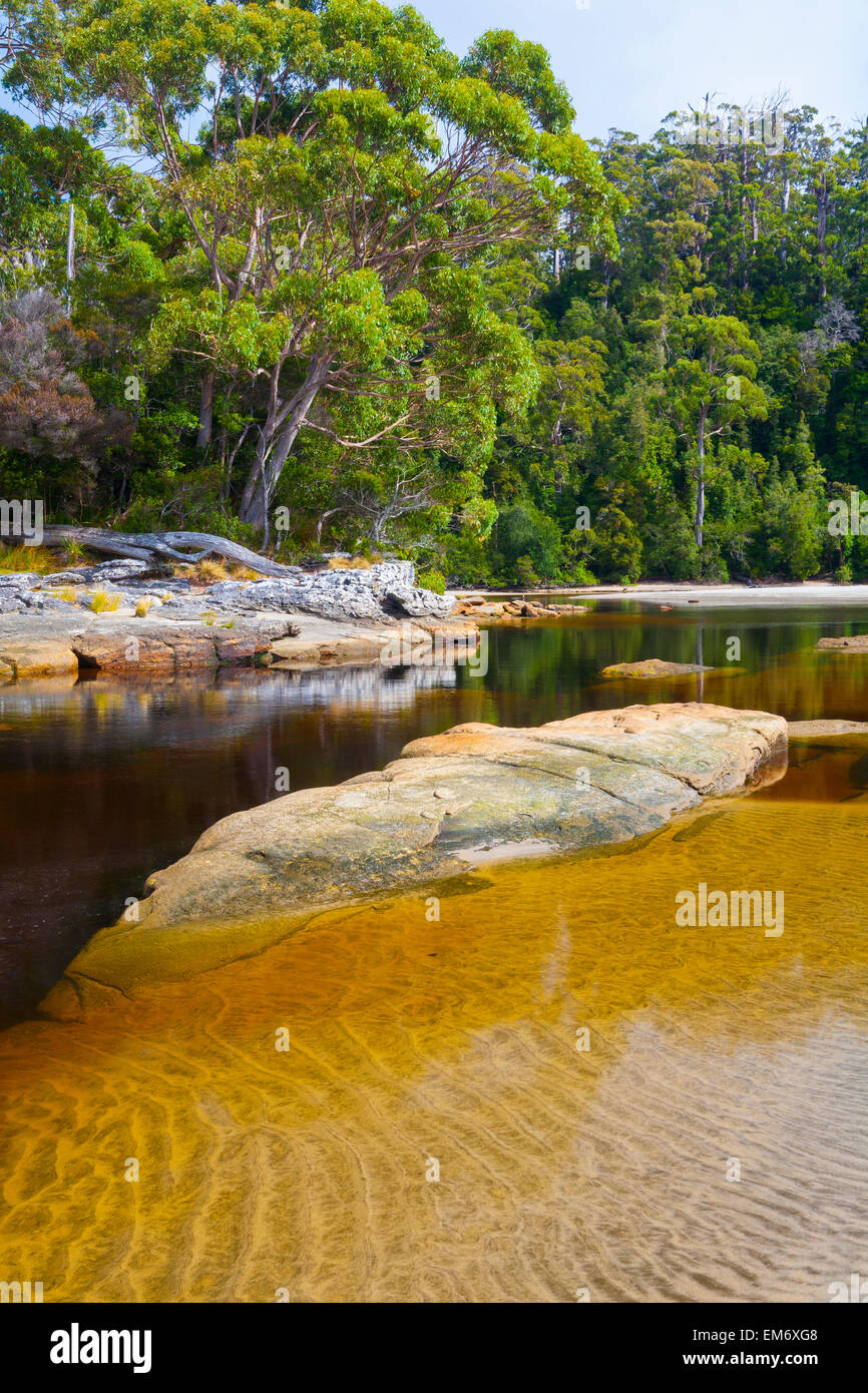Al sur de Cabo Riachuelo - Southwest National Park - Tasmania - Australia Foto de stock
