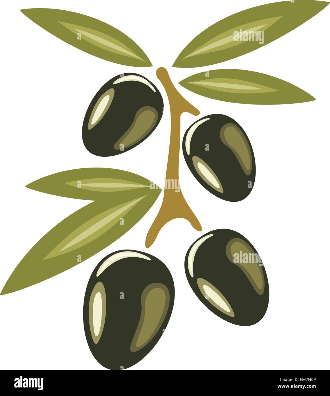 Rama de olivo, símbolo estilizado icono ilustración vectorial aislado Ilustración del Vector