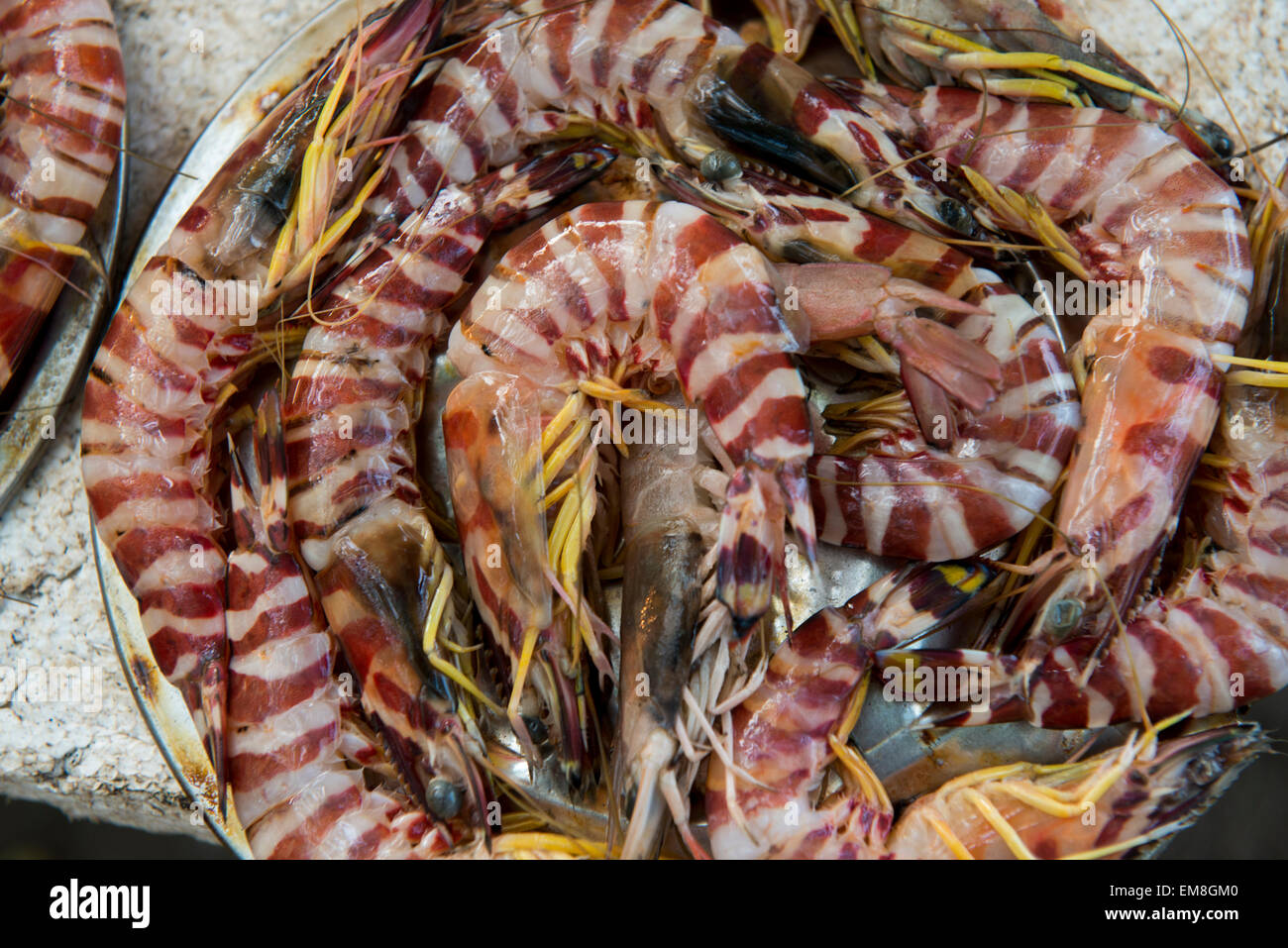 Primer plano de un fresco pescado langostino. Como camarón, pero de mayor  tamaño Fotografía de stock - Alamy