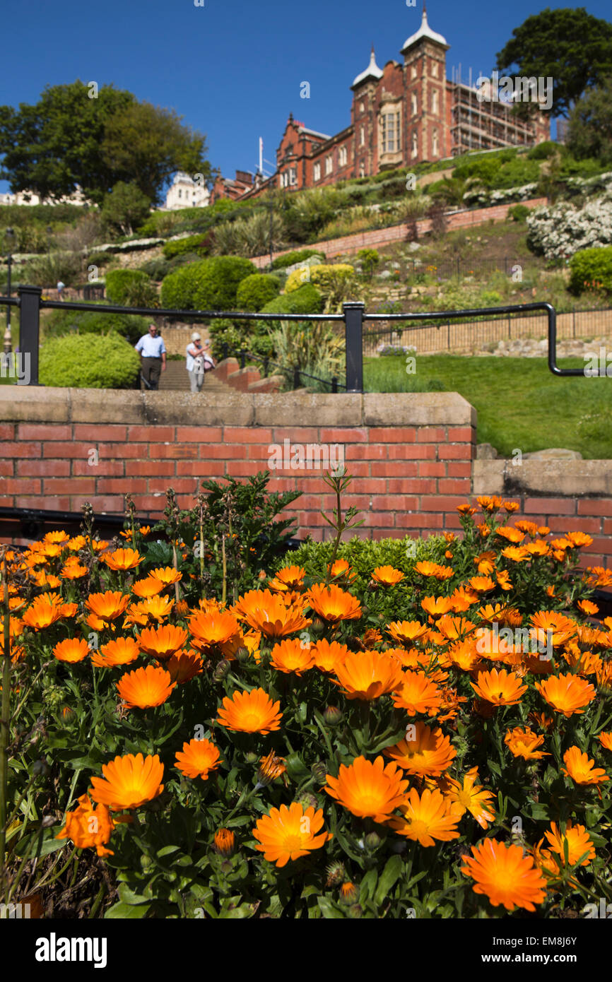 Reino Unido, Inglaterra, Yorkshire, Scarborough, Foreshore Road, flores en el mar Foto de stock