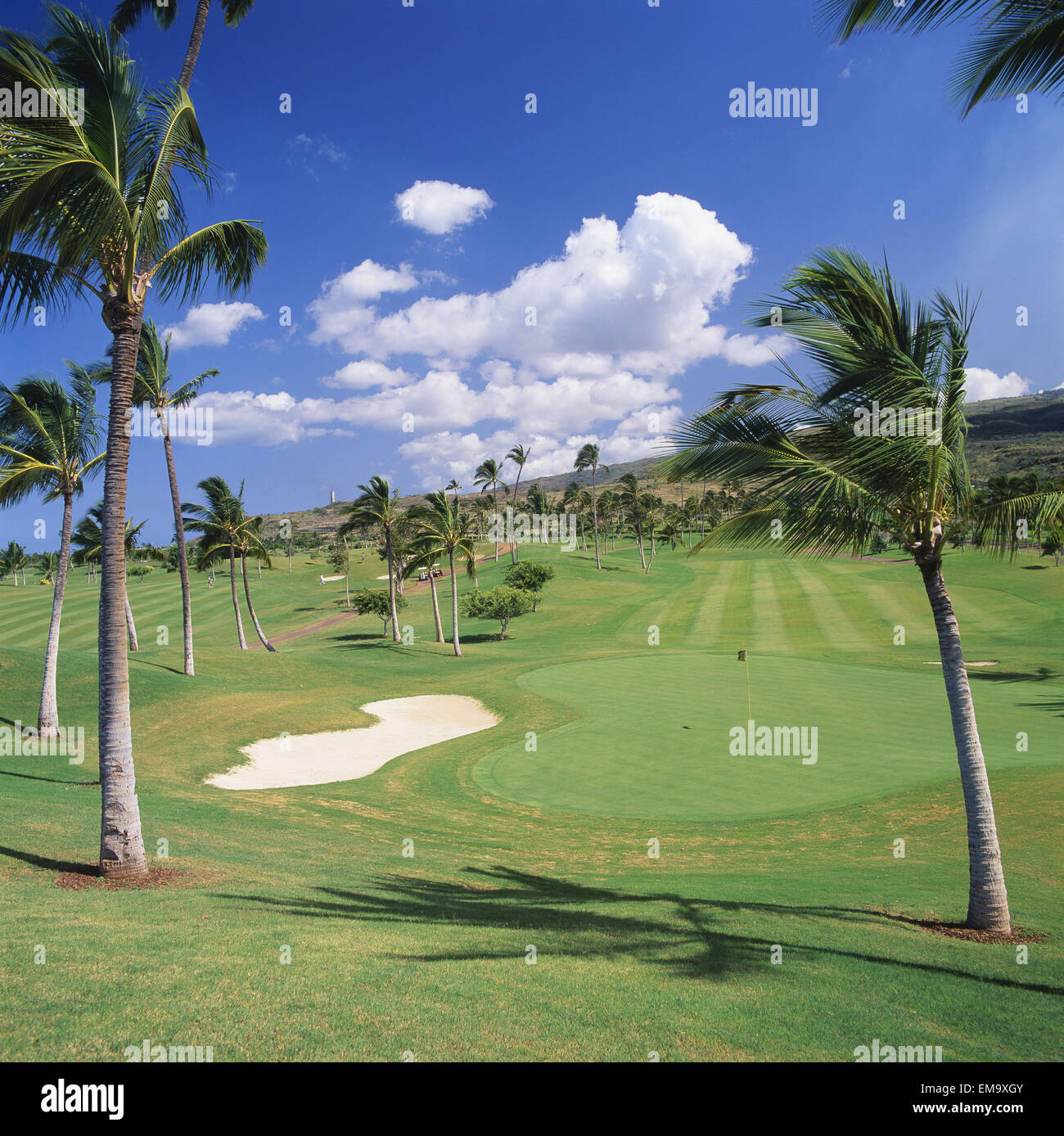 Hawaii Oahu Kapolei Ko Olina Golf Club Palmeras En El Curso Fotografia De Stock Alamy Hawaii Oahu Kapolei Ko Olina Golf Club Palmeras En El Curso Fotografia De Stock Alamy