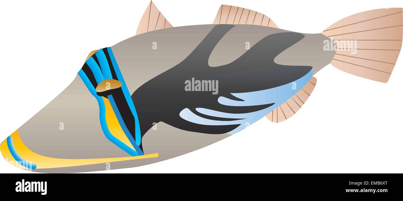 Un pez ballesta Picasso Rhinecanthus aculeatus aislado en blanco Ilustración del Vector