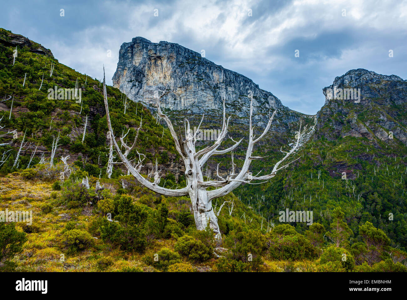 Frenchmans Cap - Parque Nacional Franklin-Gordon Wild Rivers - Tasmania - Australia Foto de stock