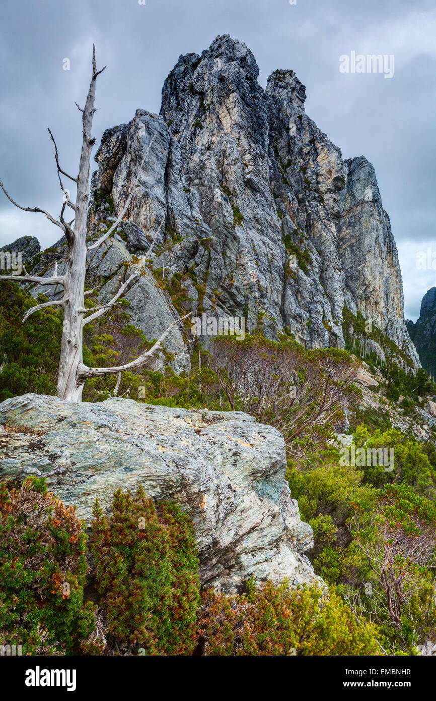 Agujas - Nicoles Franklin-Gordon Wild Rivers National Park - Tasmania - Australia Foto de stock