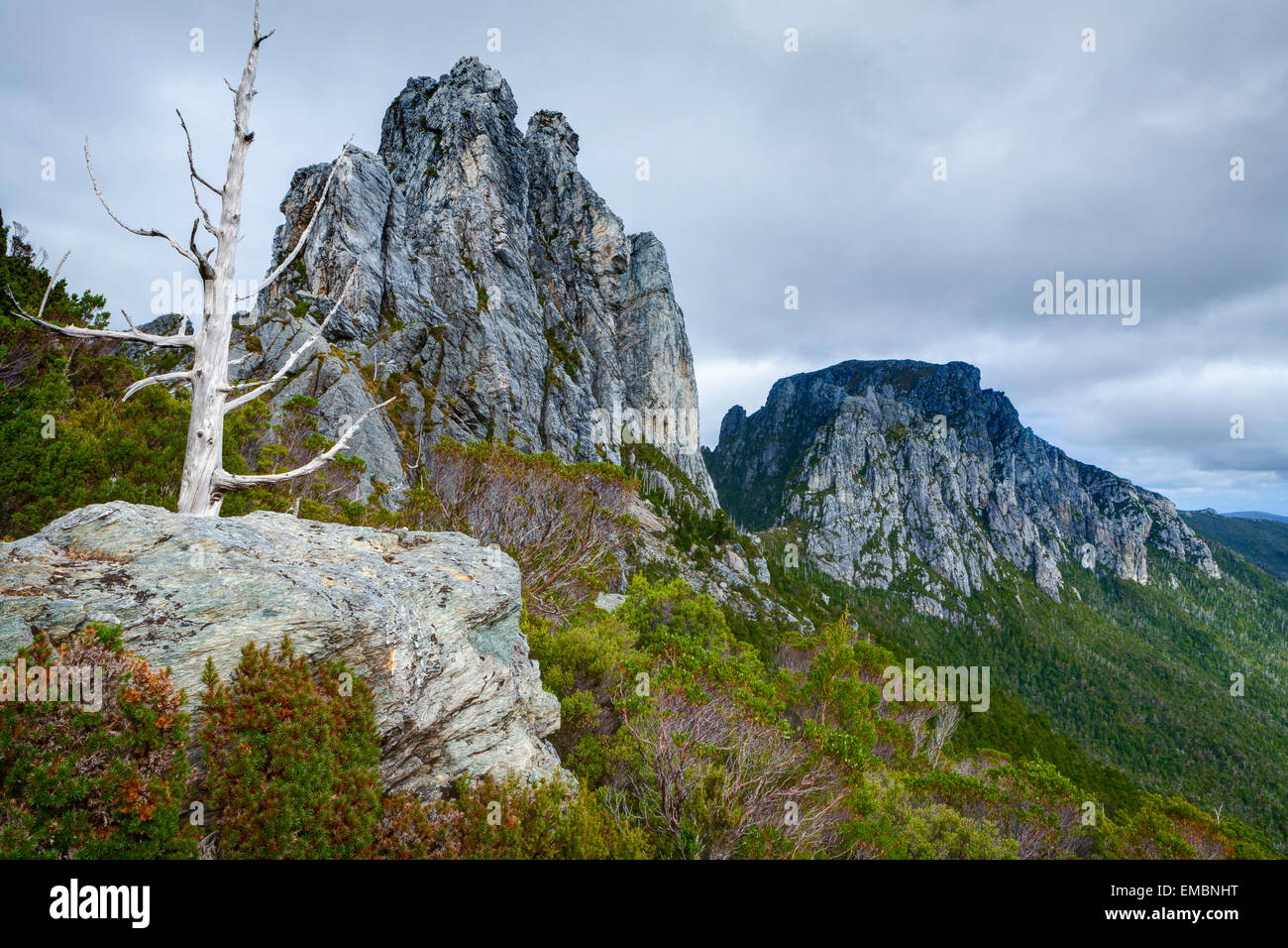 Aguja Sharlands Nicoles y pico - Franklin-Gordon Wild Rivers National Park - Tasmania - Australia Foto de stock