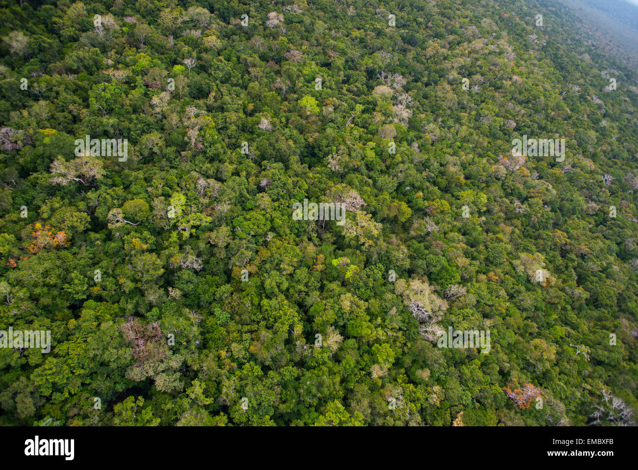 Vista aérea de la Reserva de la Biosfera Maya de Guatemala. Foto de stock