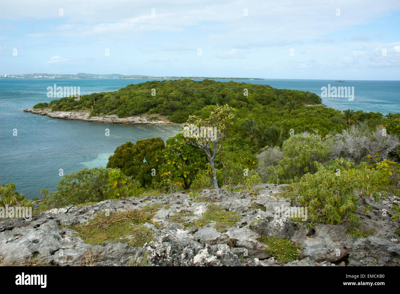 Gran Bird Island es un pequeño islote casi tres kilómetros fuera de la costa noreste de Antigua en el Caribe. Foto de stock
