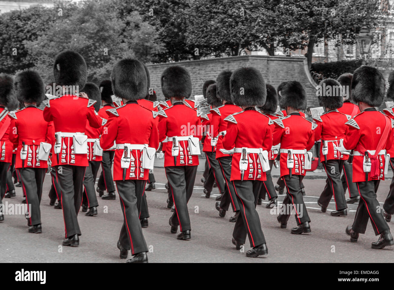 Una imagen de la banda regimental del regimiento de Coldstream Guards marchando hacia St James's Palace, Londres, Inglaterra Foto de stock