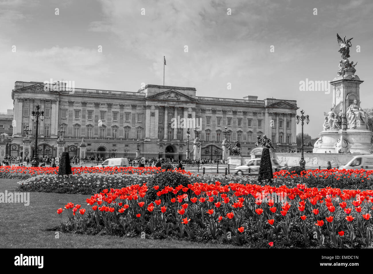 Una vista horizontal del Palacio de Buckingham, en blanco y negro con tulipanes de color rojo en primer plano ,la ciudad de Westminster, Londres, Gran Bretaña. Foto de stock
