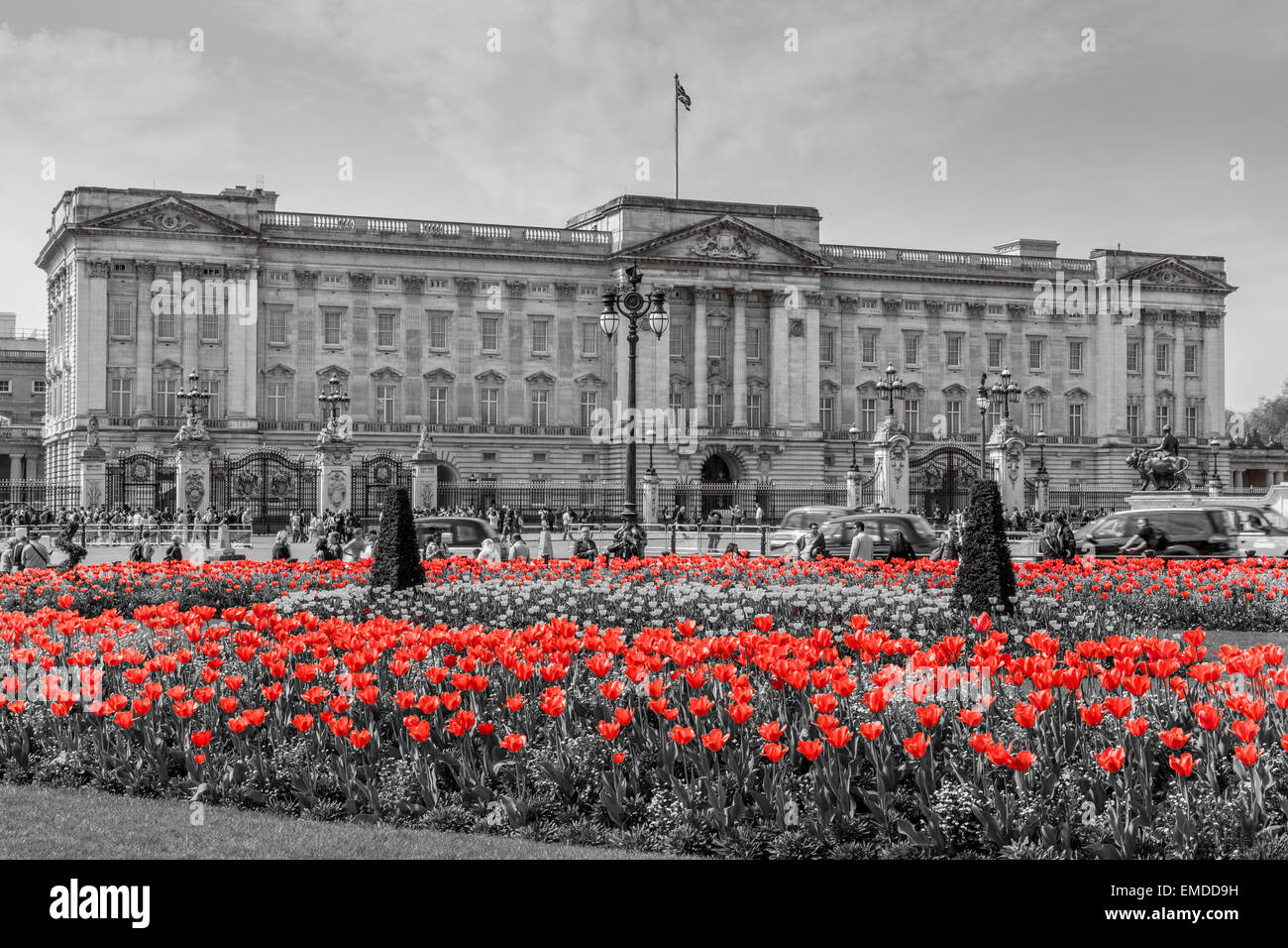 Una vista horizontal del Palacio de Buckingham, en el tiempo de primavera con procesamiento de color selectiva, la ciudad de Westminster, Londres, Gran Bretaña. Foto de stock
