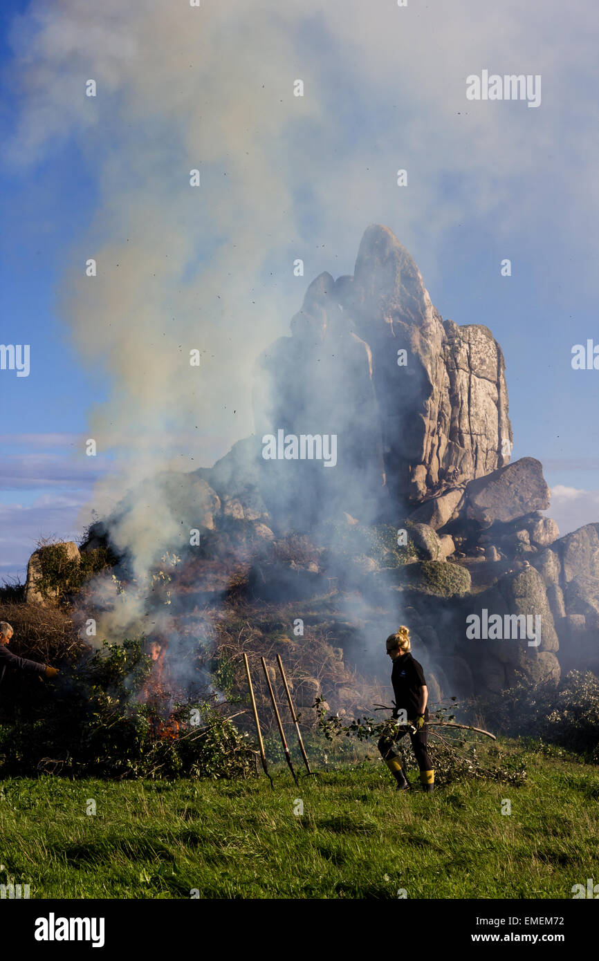 Un guardabosques voluntarios lleva cortar la vegetación que cubría el Carn Leh, impidiendo el crecimiento de líquenes raros, a la fogata, St Mary's, Foto de stock